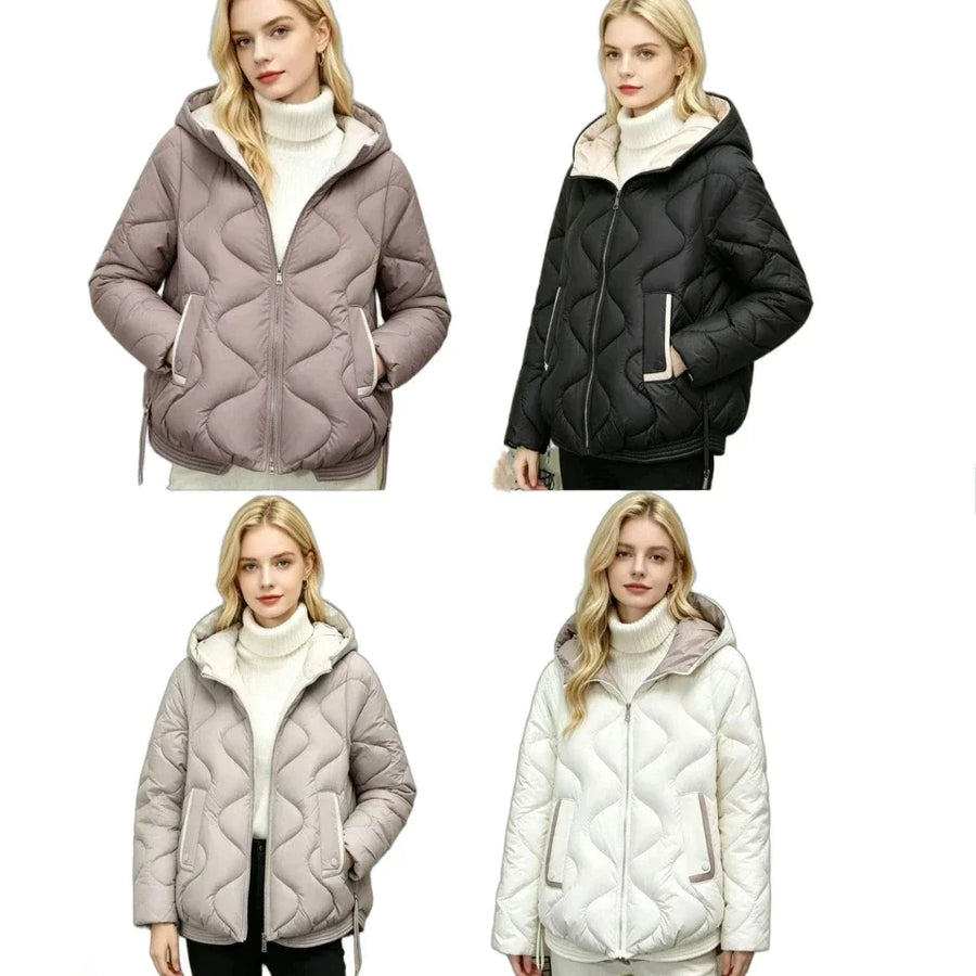 Damen Steppjacke mit Kapuze und Reißverschluss, gepolstert, in verschiedenen Farben