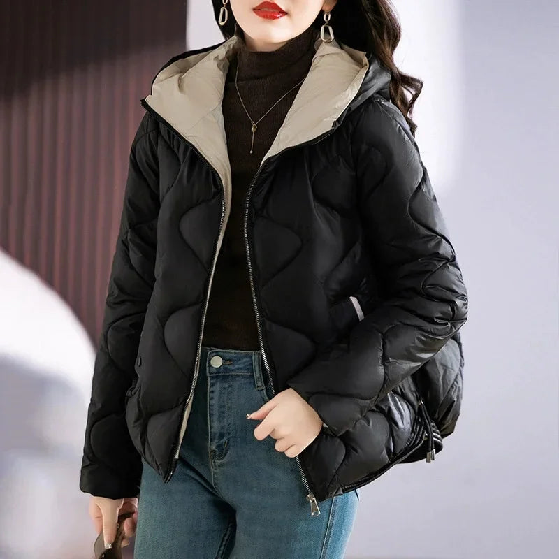 Damen Steppjacke mit Kapuze und Reißverschluss, gepolstert, in verschiedenen Farben