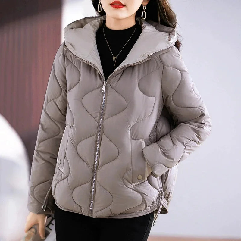 Damen Steppjacke mit Kapuze und Reißverschluss, gepolstert, in verschiedenen Farben