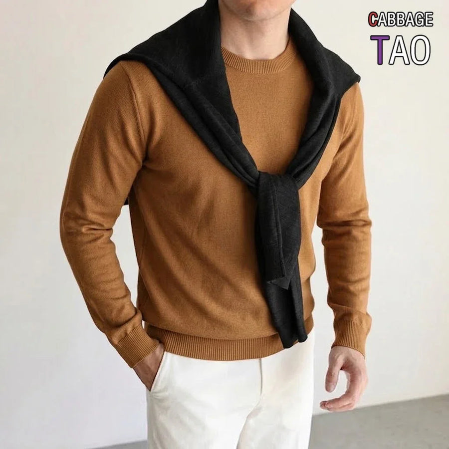 Heren pullover met ronde hals, lange mouwen, basic gebreide pullover