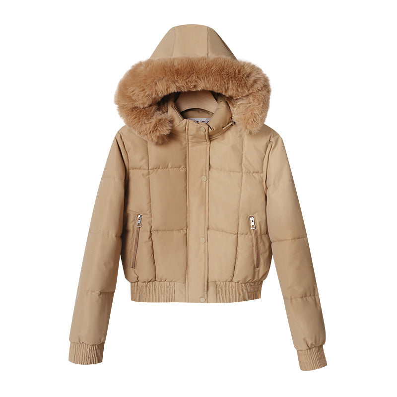 Kurze Damen Steppjacke mit Kapuze und Fellimitat in verschiedenen Farben