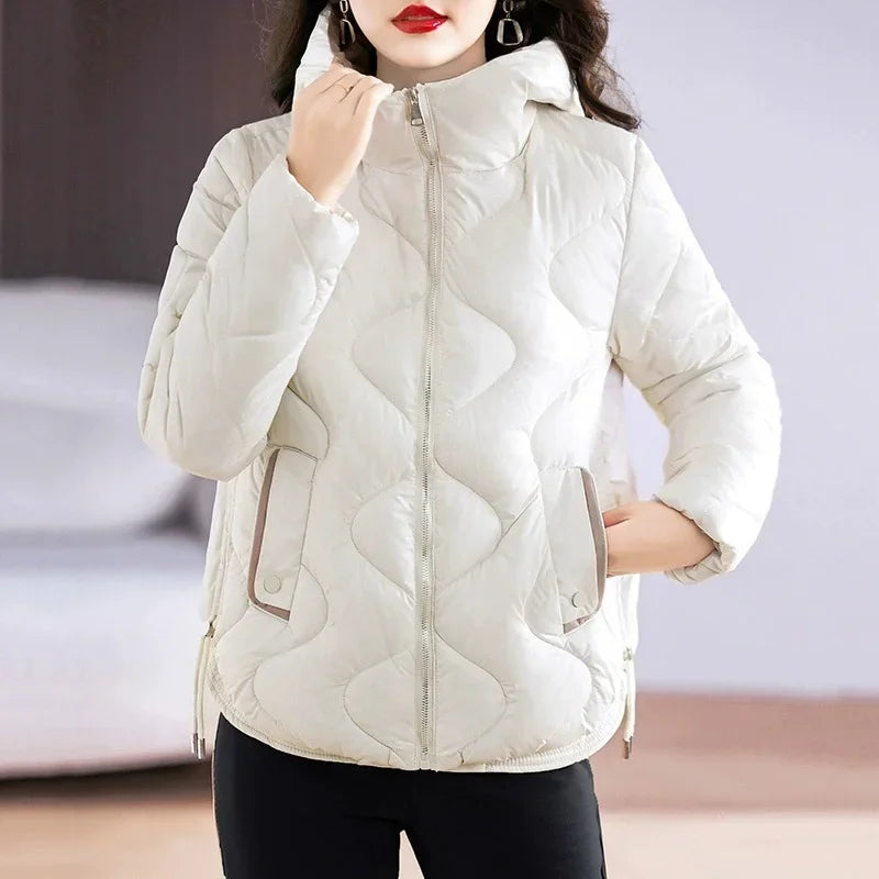Damen Steppjacke mit Kapuze und Reißverschluss, gepolstert, in verschiedenen Farben