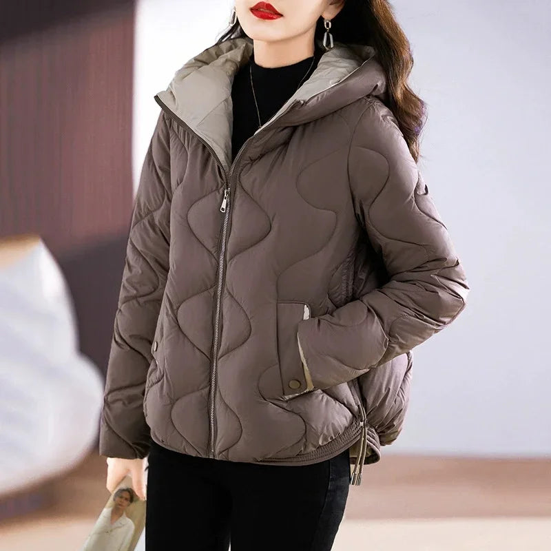 Damen Steppjacke mit Kapuze und Reißverschluss, gepolstert, in verschiedenen Farben