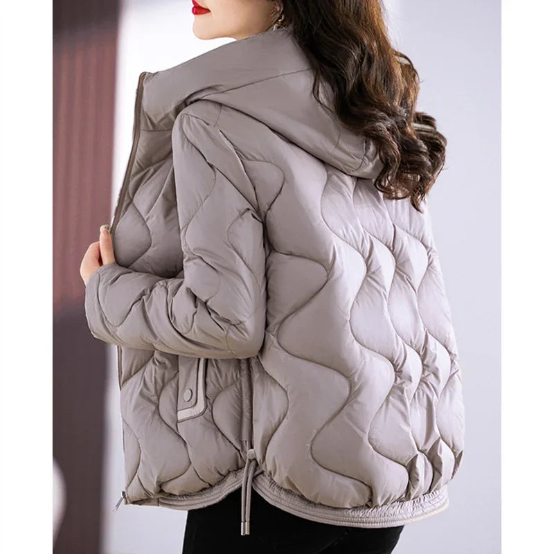 Damen Steppjacke mit Kapuze und Reißverschluss, gepolstert, in verschiedenen Farben