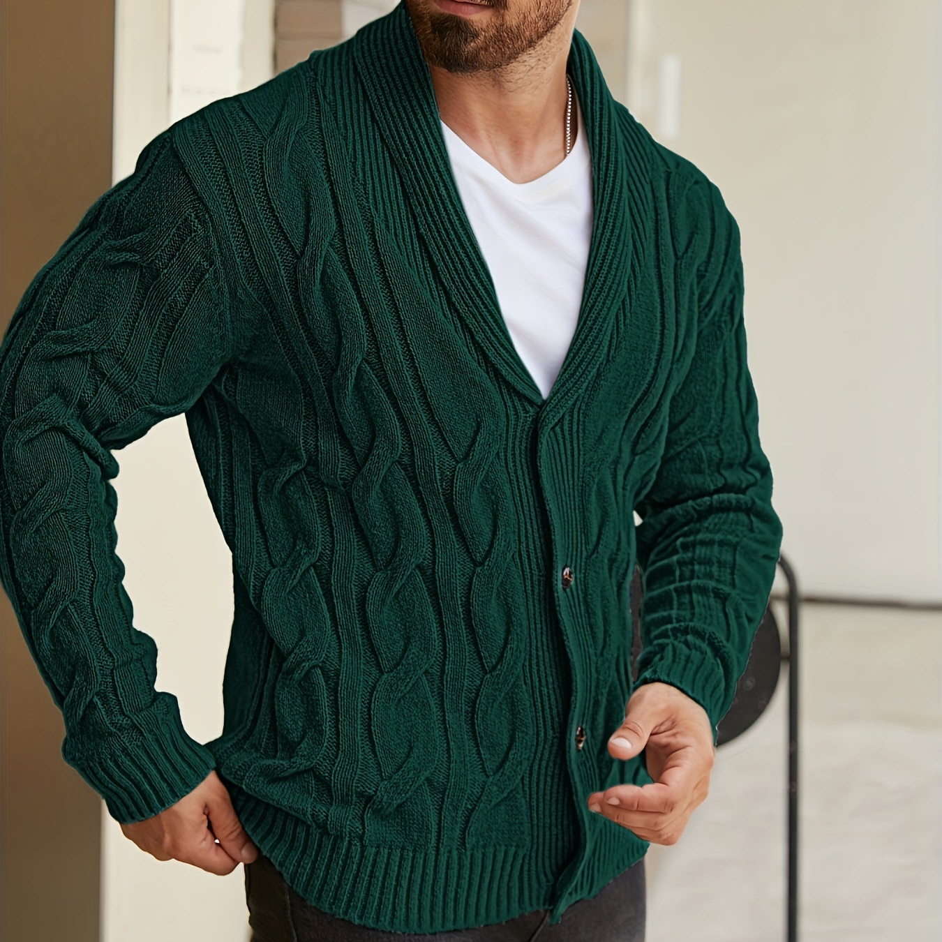 Herren Strickjacke Schalkragen Zopfmuster Knöpfe
